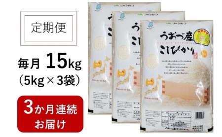 15kg（5kg×3袋）×3ヶ月定期便　富山県うおづ産米コシヒカリ 白米 富山米