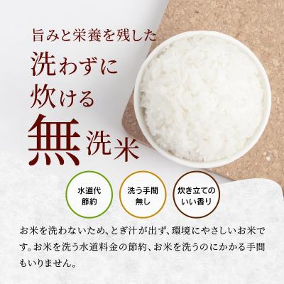 ふるさと納税 大館市 秋田県大館産あきたこまち　5kg(無洗米)