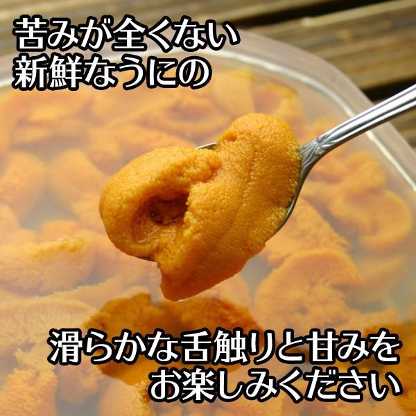 うに 訳あり ウニ 塩水うに 80g 生ウニ 海鮮 gift 生うに 無添加 北海道 お取り寄せ グルメ ギフト うにのむらかみ