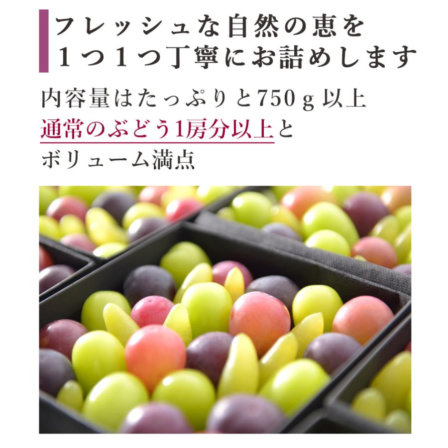 お中元 ぶどうの宝石箱 ヴェレゾンブランシュ 贈り物 送料無料 岡山 葡萄 シャインマスカット ピオーネ 桃太郎ぶどう 果物