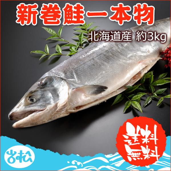 2023年新物！北海道産 新巻鮭一本物 約3.0kg 送料無料 ギフト 新巻き鮭