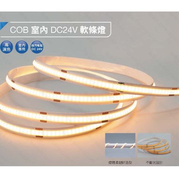 【燈王的店】舞光 COB室內DC24V 軟條燈 一捆五米 LED-35CO24V10 驅動器另購