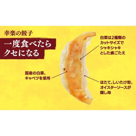 ふるさと納税 　餃子30個入り×2箱 栃木県宇都宮市