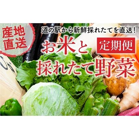 ふるさと納税 道の駅からお届け!お米と採れたて野菜定期便 013-15 鹿児島県南九州市