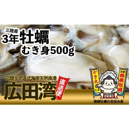 ふるさと納税 岩手県 陸前高田市 横綱牡蠣！吉田水産のむき身牡蠣500g※加熱用  数量限定   岩手 陸前高田市