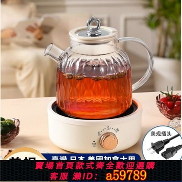 【台灣公司 可打統編】出口110V電陶爐煮茶器煮茶爐煮茶壺家用養生圍爐煮茶黑茶花茶泡茶