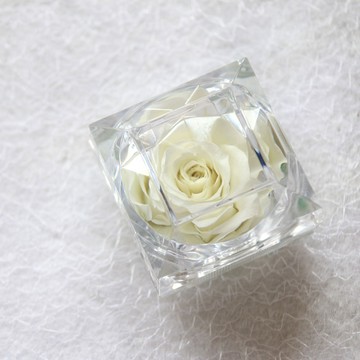 【NY Flower 紐約花藝】NY Flower 紐約花藝 SAY YES 永生恆星戒盒永生花 - 雪霜白 (贈送10ml精油)