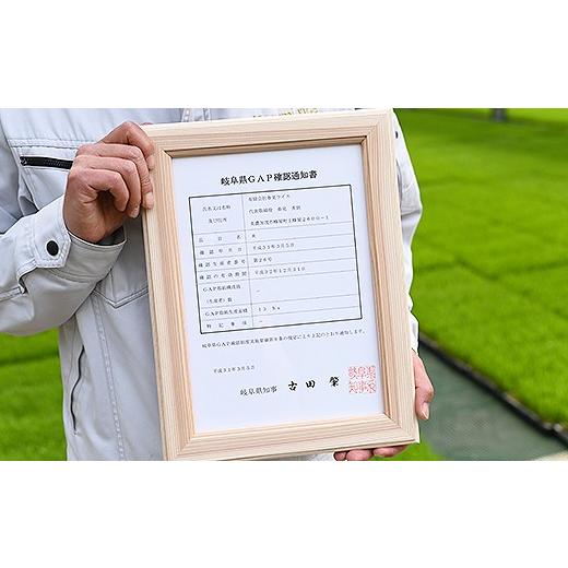 ふるさと納税 岐阜県 美濃加茂市 美濃加茂のお米定期便12回セット（5kg×12回） ハツシモ 春見ライス 米 コメ M82S01