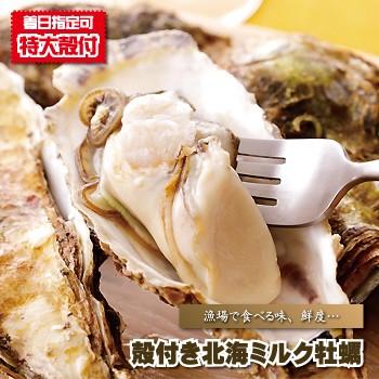 牡蠣 生食 殻付き北海ミルク牡蠣 カキ かき 期間限定