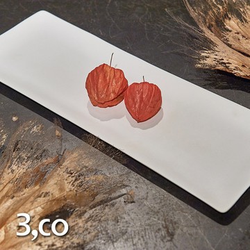 3,co│海洋長方盤(大) - 白