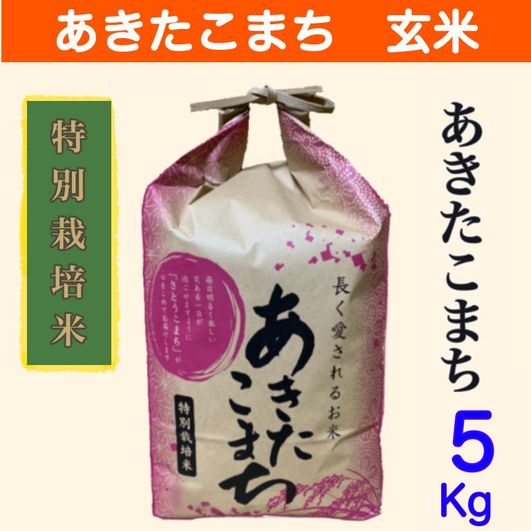 特別栽培米　玄米5kg 秋田県大潟村産　あきたこまち 令和5年産　農家直送5キロ　送料無料