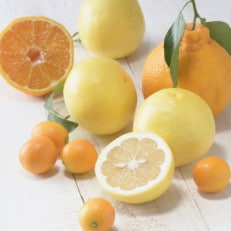 季節の柑橘をお届けします。佐賀産かんきつ5kg(鳥栖市)