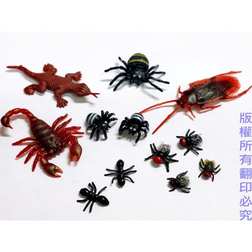 仿真動物 仿真蜘蛛/螞蟻/蒼蠅/蠍子/蜥蜴/蟑螂 黑蜘蛛 大小蜘蛛 整人玩具/嚇人/道具