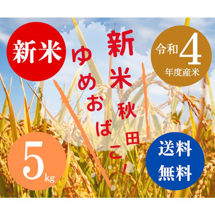 送料無料 令和５年度米 渡部浩見 漢方農法米 特別栽培米 ゆめおばこ ５kg