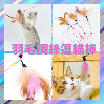 羽毛鋼絲逗貓棒｜現貨｜鋼絲逗貓棒｜超長逗貓棒｜可替換頭｜羽毛逗貓棒｜羽毛｜鈴鐺｜逗貓神器｜貓玩具｜逗貓棒｜不易折斷