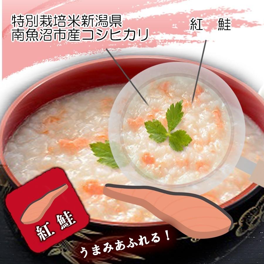 魚沼紅鮭がゆ (たいまつ食品) 低カロリー レトルト食品 おかゆ 魚沼産こしひかり 国内産