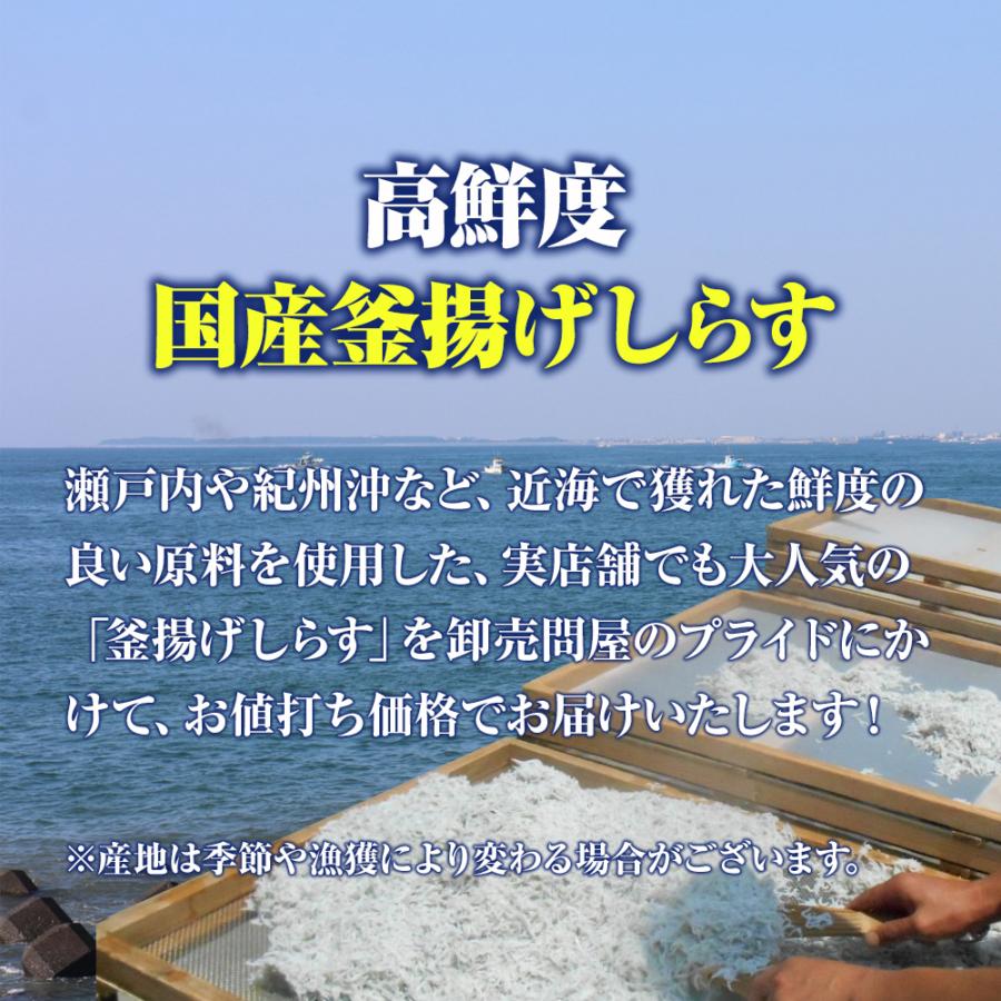 釜揚げしらす 1kg メガ盛り シラス しらす干し ちりめん じゃこ 送料無料 国産 ピザ パスタ しらす丼 魚介 海鮮