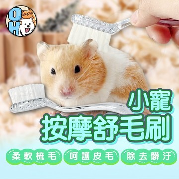 【歐豆K】小寵按摩舒毛刷 倉鼠刷 小寵按摩理毛刷 小寵用品 毛髮護理 握感舒適 長毛鼠梳毛用品 倉鼠梳子 美毛梳