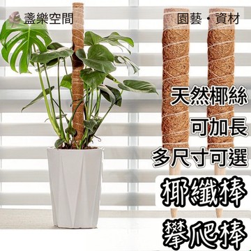 椰纖棒 椰棕棒 椰棒 攀爬棒 植物攀爬棒 花盆 觀葉植物 爬藤植物 攀爬桿 水泥盆 塑膠盆 塑膠花盆