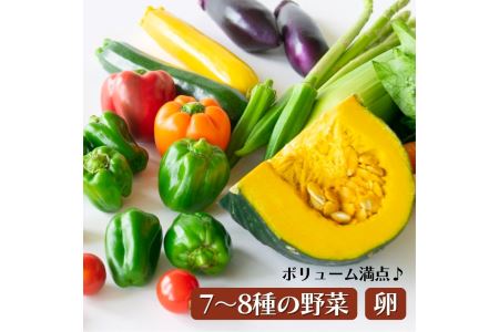 AA004 ＜12か月定期便＞旬の採れたてぜいたく野菜セット（卵付き）2人用　定期便 12カ月 野菜 やさい セット 旬 採れたて 卵 2人用 2人前 贅沢 ぜいたく10個入り1パック