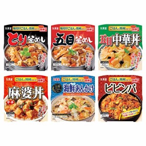 丸美屋 レンジで簡単!ごはん付きシリーズ アソート詰め合わせ 6食