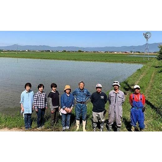 ふるさと納税 滋賀県 野洲市 有機認証 無農薬 夢ごこち 玄米 10kg