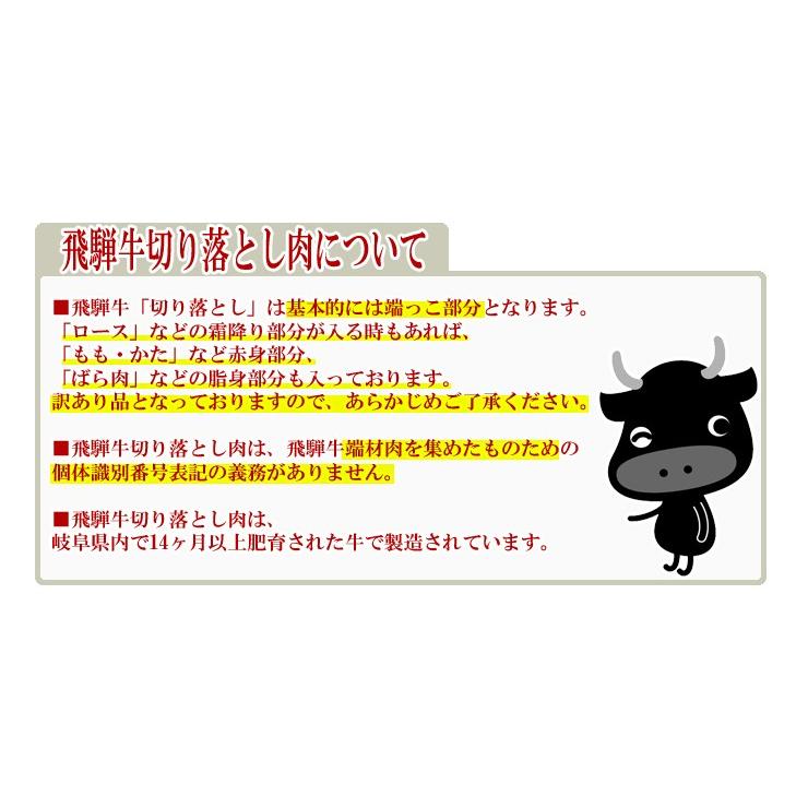 肉 訳あり 飛騨牛 切り落とし 500g 牛肉 黒毛和牛 わけあり お取り寄せグルメ