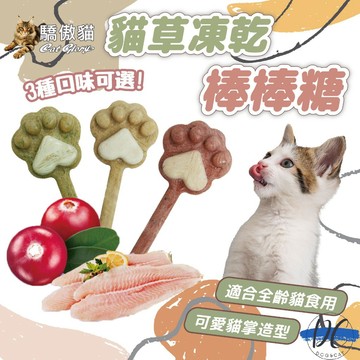 【單支販售】🐾驕傲貓 貓草凍乾棒棒糖 貓掌凍乾 寵物棒棒糖 貓咪零食 貓凍乾 貓咪點心 羊奶 凍乾 貓草 F074