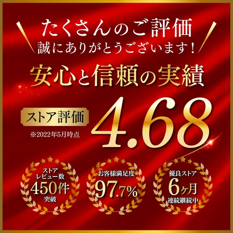 完売】レヴィ パドルブラシ – LOUVREDO直営 公式オンラインショップ