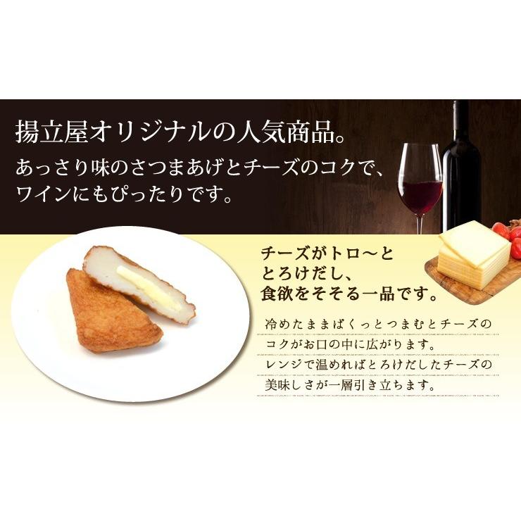 揚立屋 さつま揚げ ギフト 送料無料 ネット限定 鹿児島