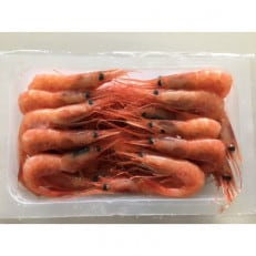 冷凍甘エビ1.2kg(300g×4パック)