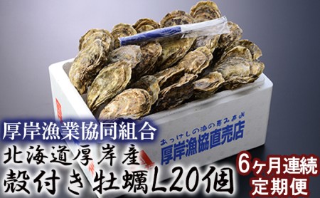 定期便 6ヶ月 北海道 厚岸産 牡蠣 Lサイズ 20個 (各回20個×6ヶ月分,合計120個) 殻付き 生食 カキナイフ付き かき カキ