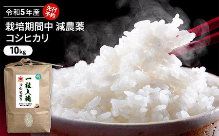 大山山麓 栽培期間中農薬化成不使用培米コシヒカリ 10kg 【送料込】-