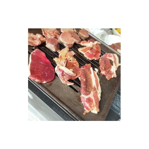 ふるさと納税 北海道 池田町 北海道　十勝エゾ鹿肉  焼肉セット