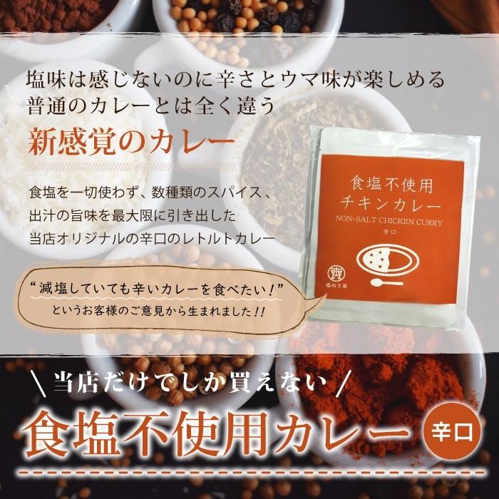 無塩 カレー 日本初 塩ぬき屋  食塩不使用 チキンカレー 辛口 ２袋セット 減塩 中の方にも お歳暮 お歳暮ギフト お歳暮プレゼント