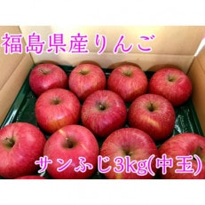 福島県のりんご　蜜入りリンゴサンふじ　中玉3kg(8～14玉)