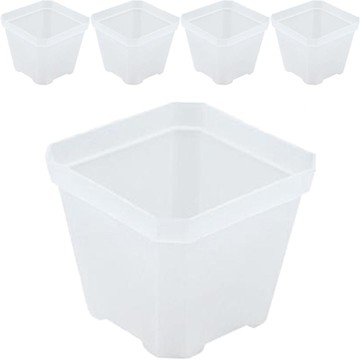 Mihwabujang 多用途透明狹縫花盆  透明色  5件  10號