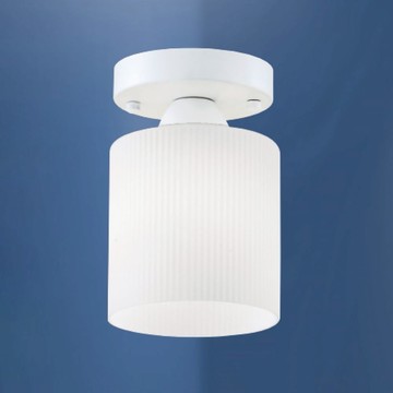 E27 玻璃單吸頂燈 B102-13-6488B