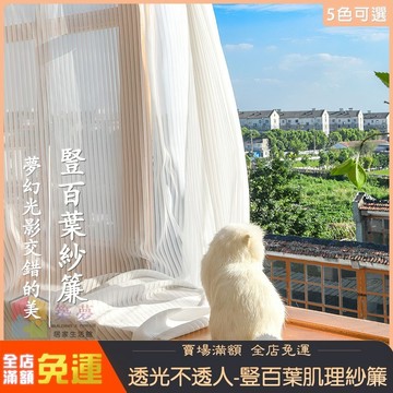 透光窗簾 豎百葉紗簾 防曬紗簾 透光不透人窗簾 窗紗簾 白色窗簾紗 窗簾紗簾 採光窗簾 客廳窗簾 美容隔簾 免打紗簾