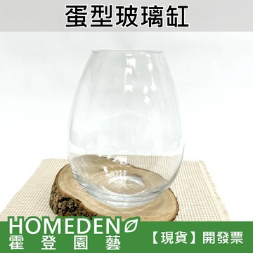 【隔日到貨】蛋型玻璃 永生花 乾燥花 不雕花 生日禮物 交換禮物 婚禮飾品【HOMEDEN霍登園藝】