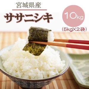 新米 米 お米 5kg×2 ササニシキ 玄米10kg 令和5年産 宮城県 送料無料 白米・無洗米・分づき