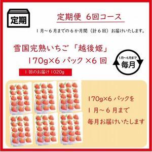 ふるさと納税 いちごの定期配送　雪国完熟いちご越後姫170g×6全6回 新潟県上越市