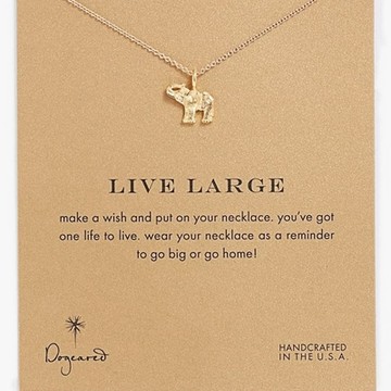 Dogeared 美國品牌Reminder金色許願項鍊-幸運象
