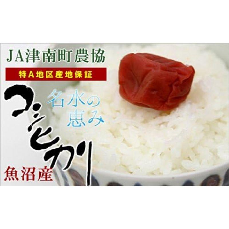 令和５年産 魚沼産 コシヒカリ 新潟 JA津南町農協 安心のＪＡ農協米 名水の恵 10kg