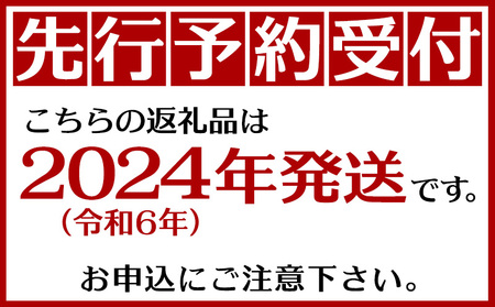 沖縄の太陽を浴びた芳醇なマンゴー 1kg（秀品）