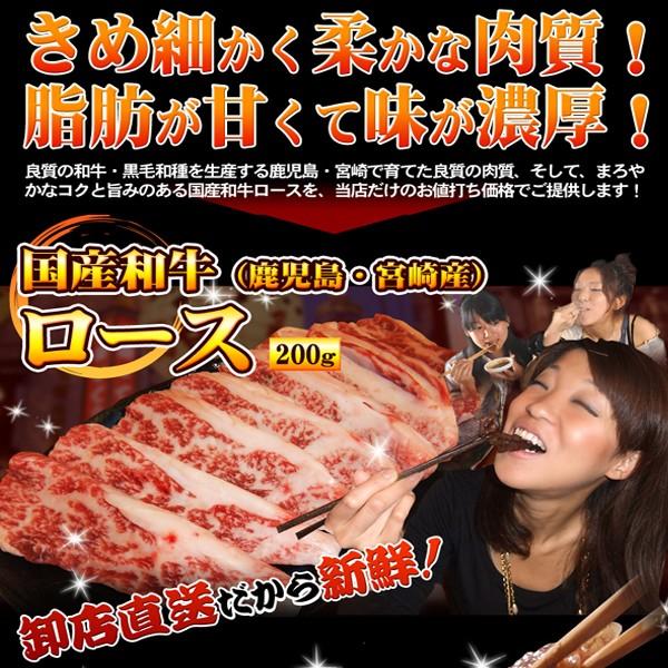 ロース 肉 ホルモン 宮崎県産 和牛 上ロース 200g お試し ギフト