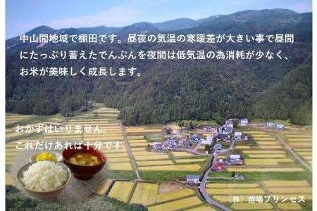 魚沼産コシヒカリ　苗場プリンセス　特別栽培米　農薬化学肥料５割減　精米（10ｋｇ）　5ｋｇ×2