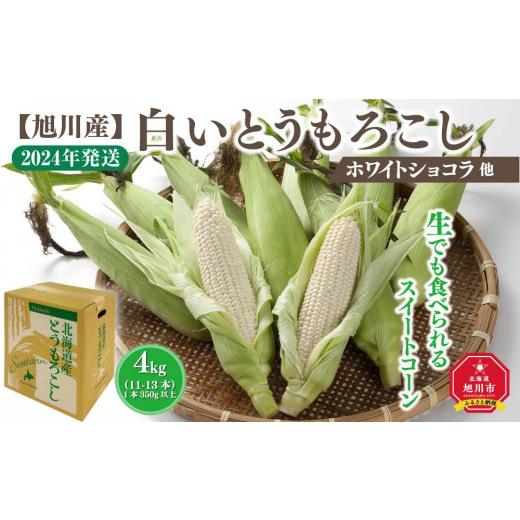 ふるさと納税 北海道 旭川市 白いとうもろこし（ホワイトショコラ他）4kg＜11-13本＞(2024年8月上旬発送開始予定)