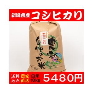 お米 10kg 白米 送料無料 新潟県糸魚川産 コシヒカリ 新米 令和5年度産