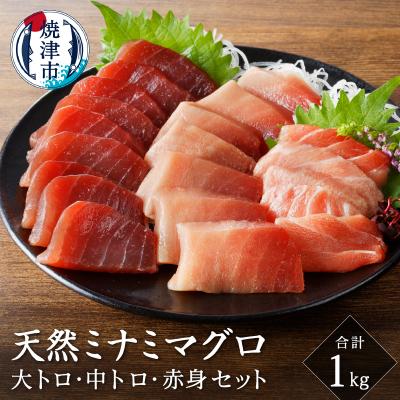 ふるさと納税 焼津市 キボシ水産 天然 鮪 南鮪 大トロ 中トロ 赤身食べ比べ 約1kg(a35-012)